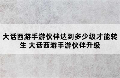 大话西游手游伙伴达到多少级才能转生 大话西游手游伙伴升级